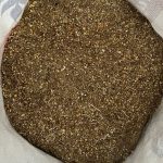 Torito ( Engorda Ganado )